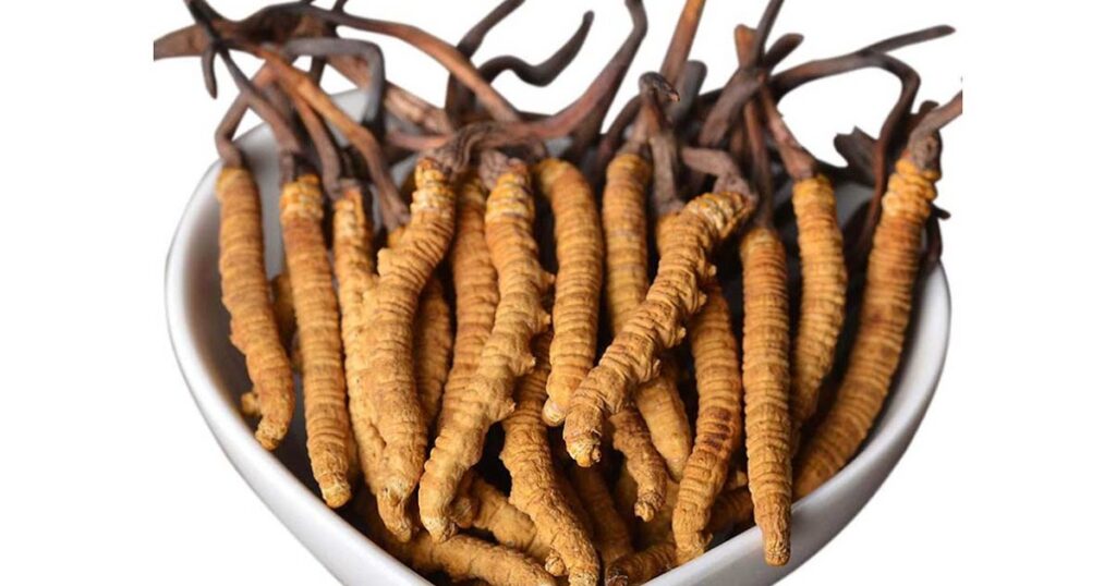 Harnessing the Health Benefits of Cordyceps Functional Mushrooms